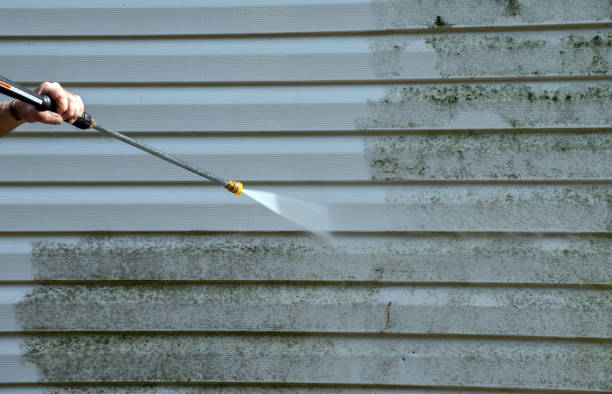Best Sidewalk and Walkway Cleaning  in Churchill, OH